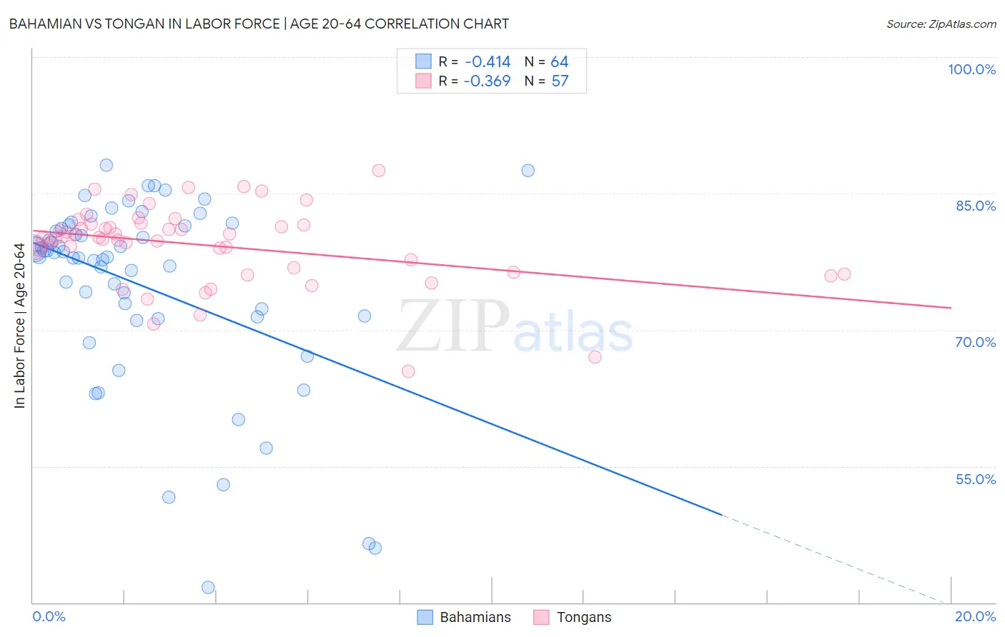 Bahamian vs Tongan In Labor Force | Age 20-64