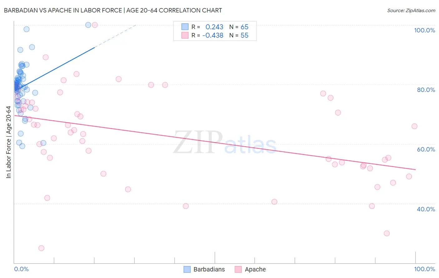 Barbadian vs Apache In Labor Force | Age 20-64