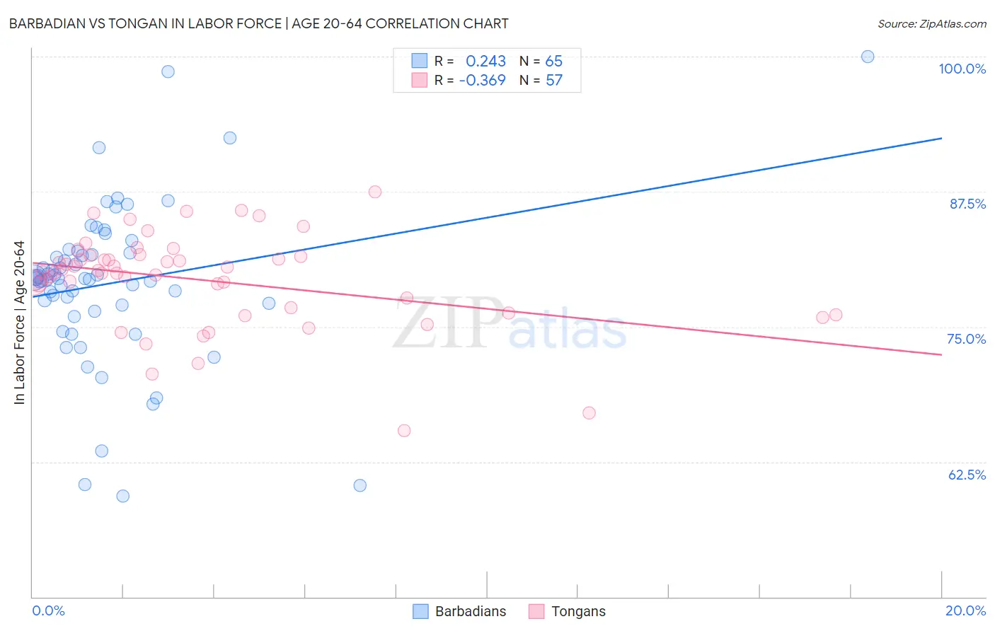 Barbadian vs Tongan In Labor Force | Age 20-64