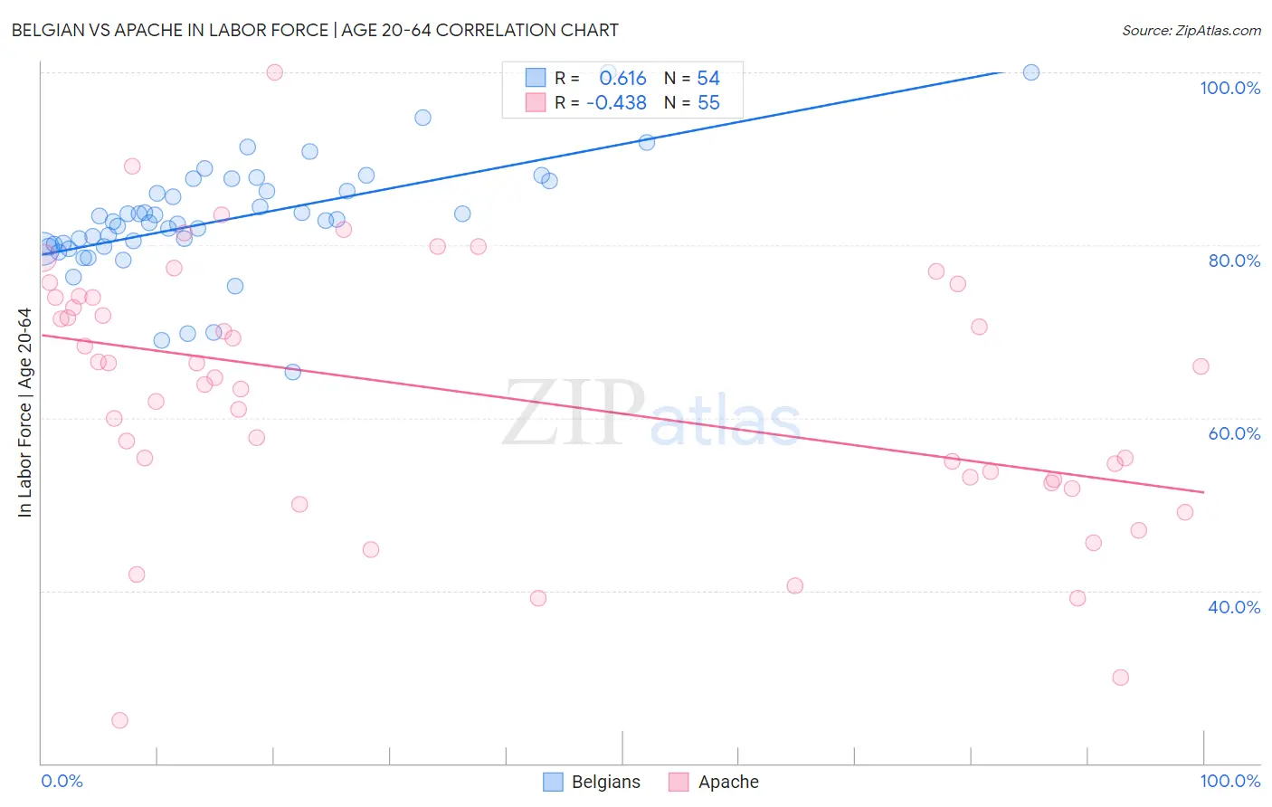 Belgian vs Apache In Labor Force | Age 20-64