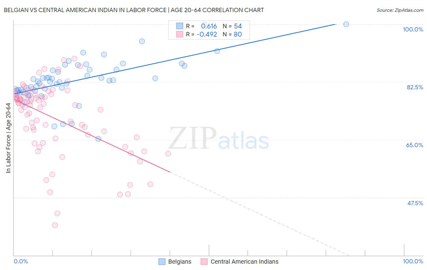 Belgian vs Central American Indian In Labor Force | Age 20-64