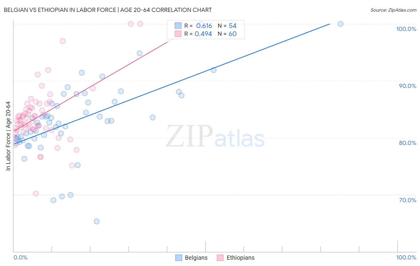 Belgian vs Ethiopian In Labor Force | Age 20-64