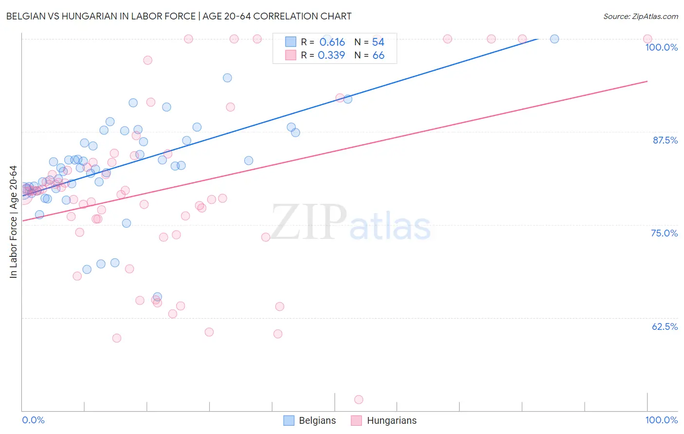 Belgian vs Hungarian In Labor Force | Age 20-64