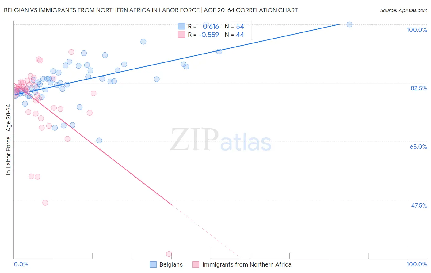 Belgian vs Immigrants from Northern Africa In Labor Force | Age 20-64