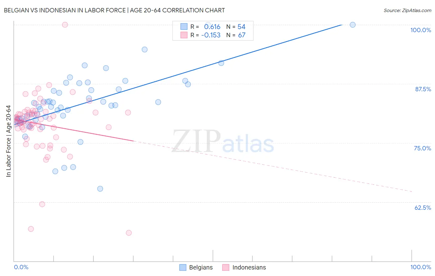 Belgian vs Indonesian In Labor Force | Age 20-64