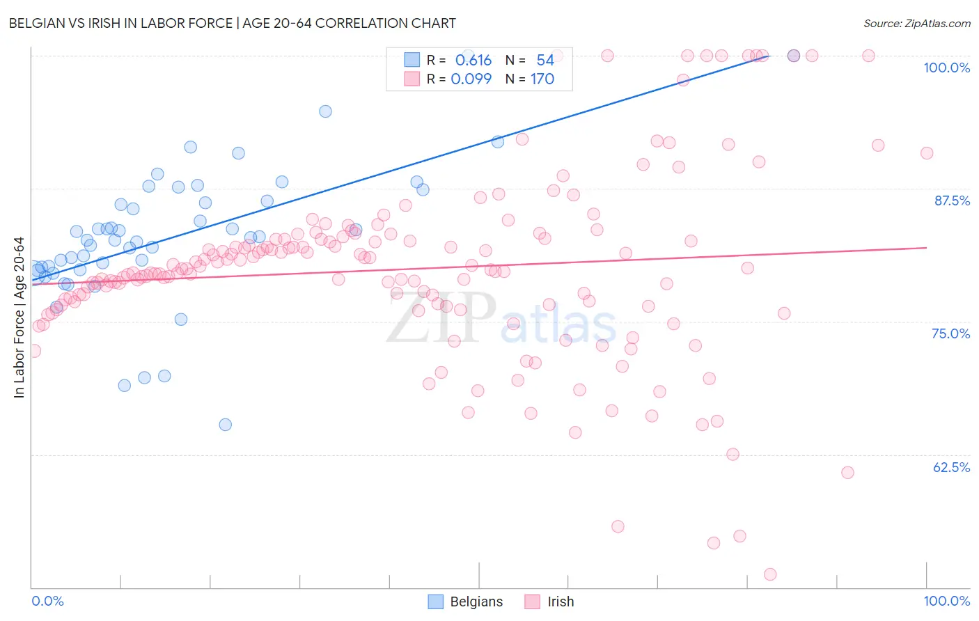 Belgian vs Irish In Labor Force | Age 20-64
