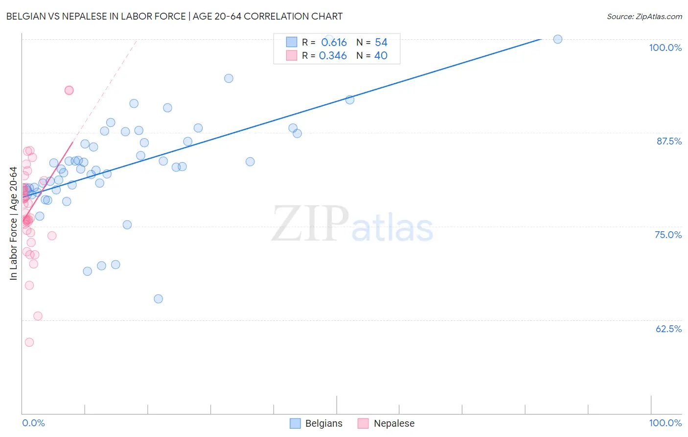 Belgian vs Nepalese In Labor Force | Age 20-64