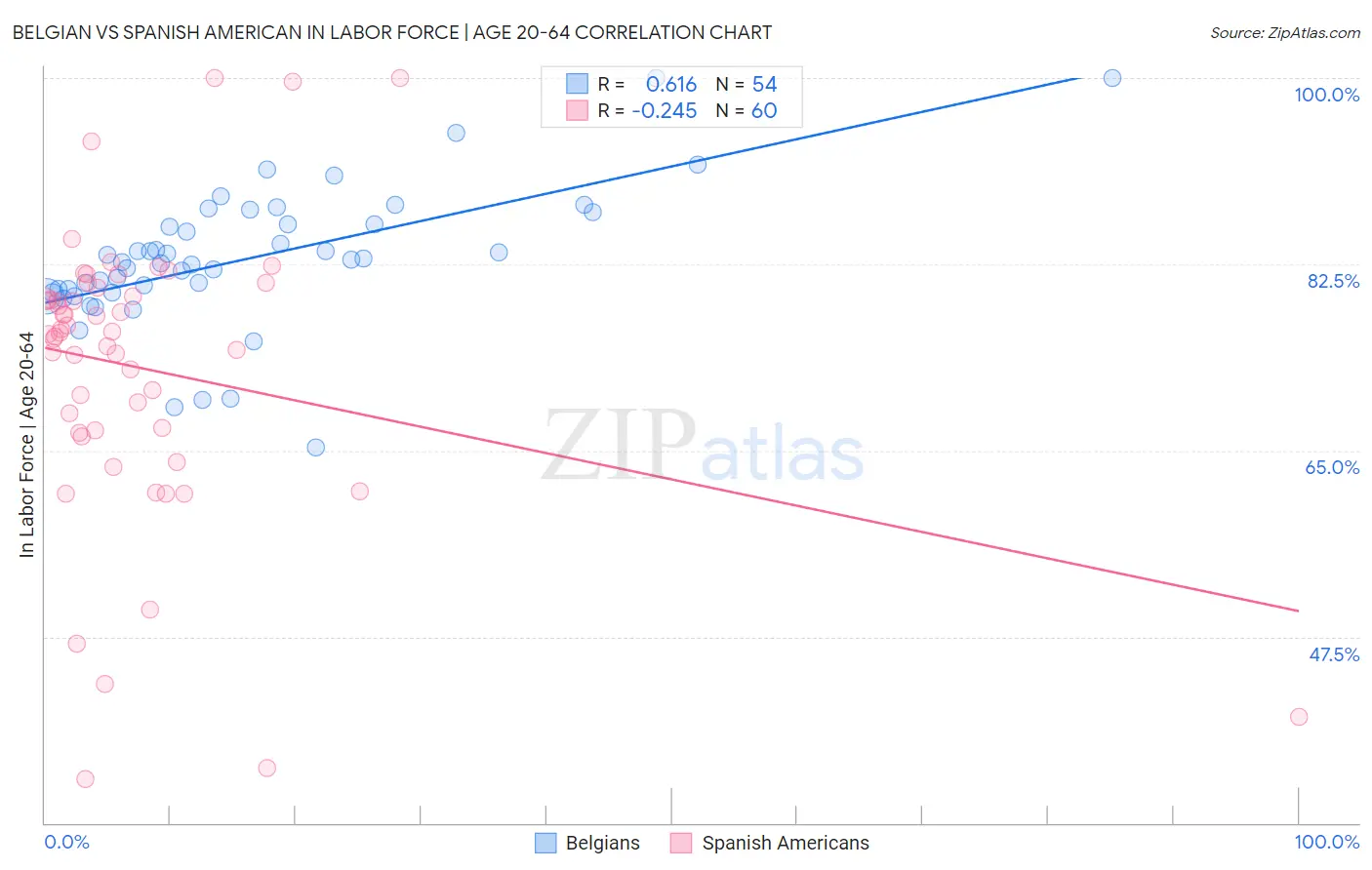 Belgian vs Spanish American In Labor Force | Age 20-64