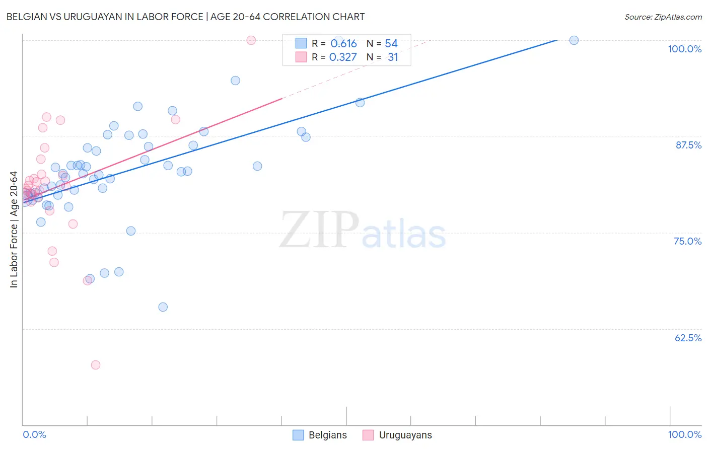 Belgian vs Uruguayan In Labor Force | Age 20-64