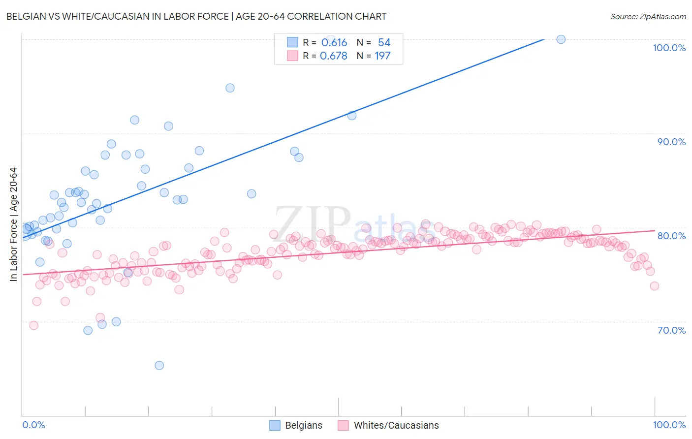 Belgian vs White/Caucasian In Labor Force | Age 20-64