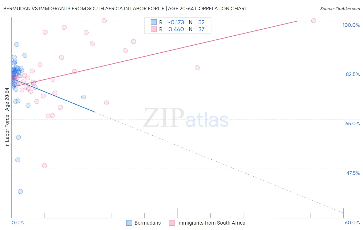 Bermudan vs Immigrants from South Africa In Labor Force | Age 20-64