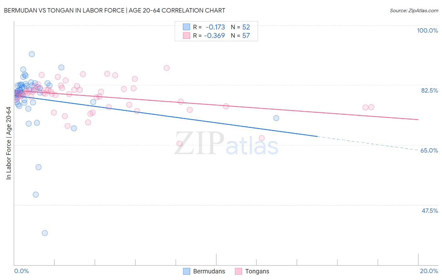 Bermudan vs Tongan In Labor Force | Age 20-64