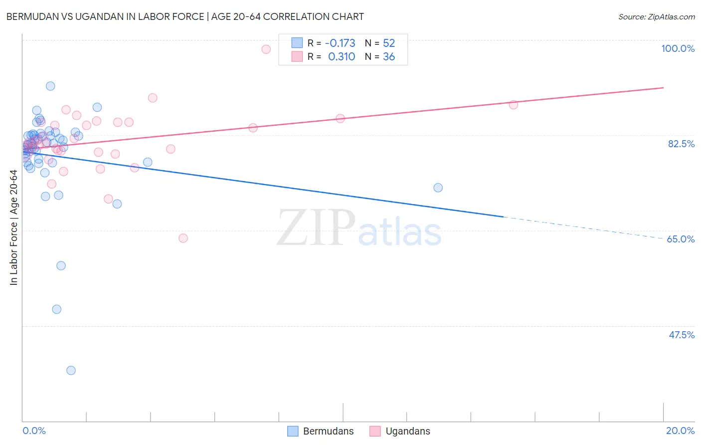 Bermudan vs Ugandan In Labor Force | Age 20-64