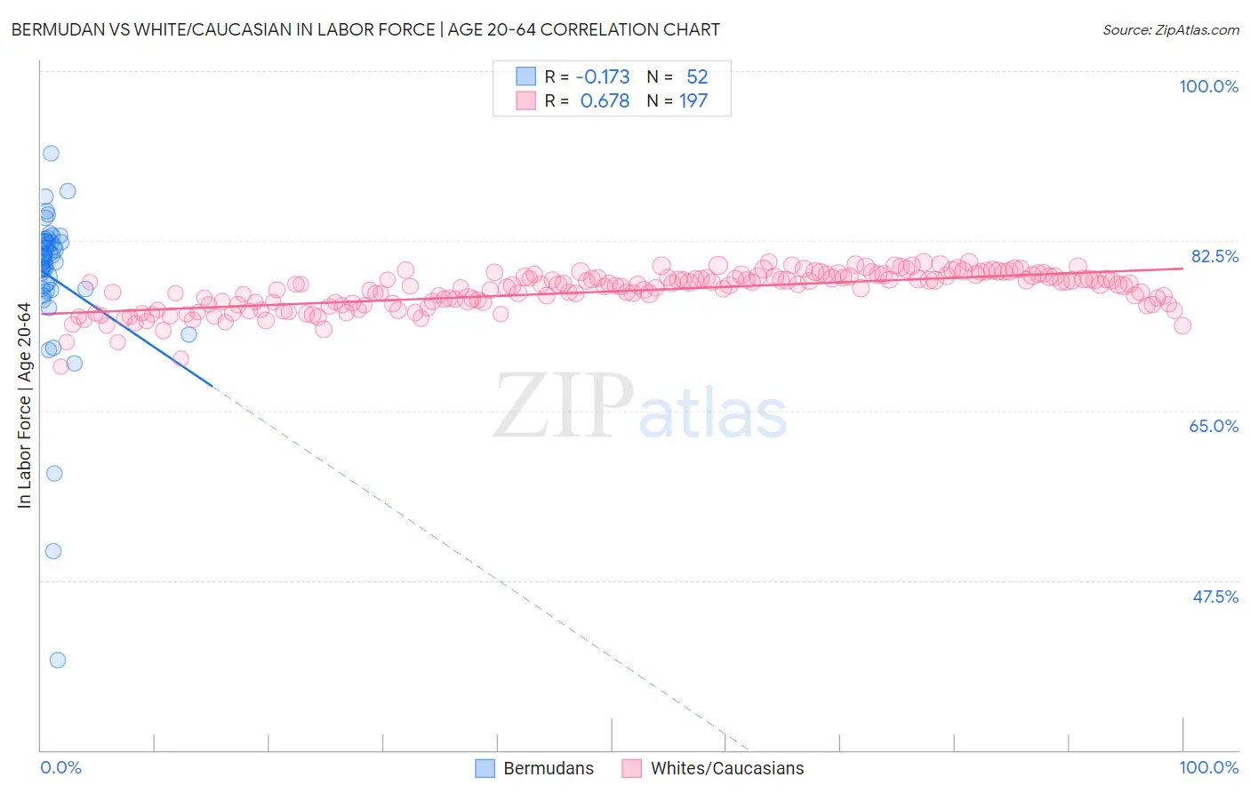 Bermudan vs White/Caucasian In Labor Force | Age 20-64