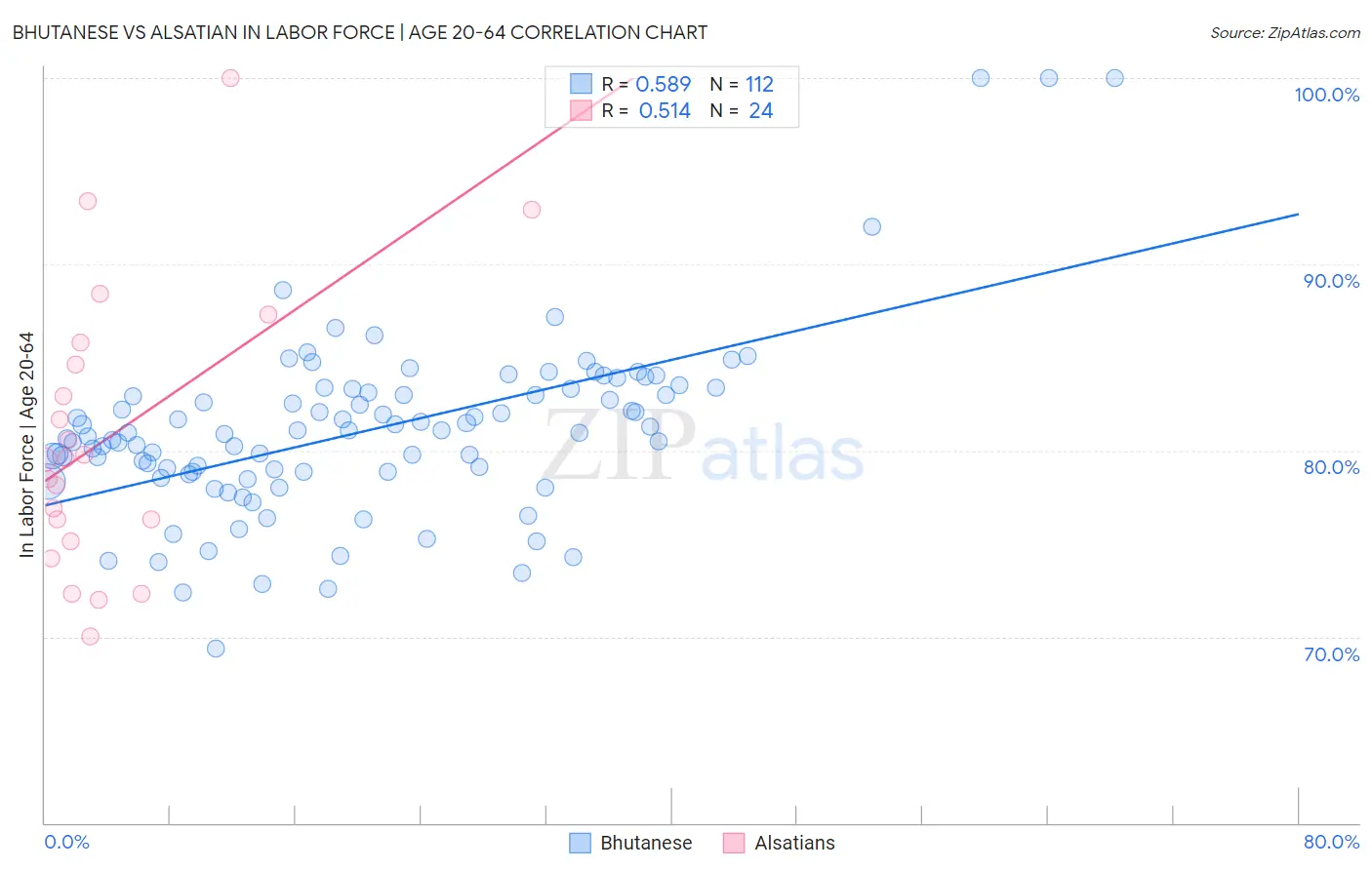 Bhutanese vs Alsatian In Labor Force | Age 20-64