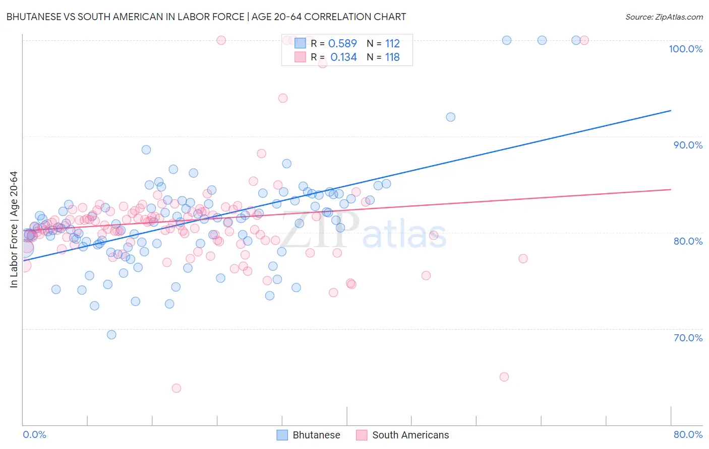 Bhutanese vs South American In Labor Force | Age 20-64