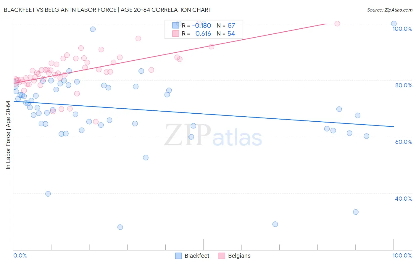 Blackfeet vs Belgian In Labor Force | Age 20-64