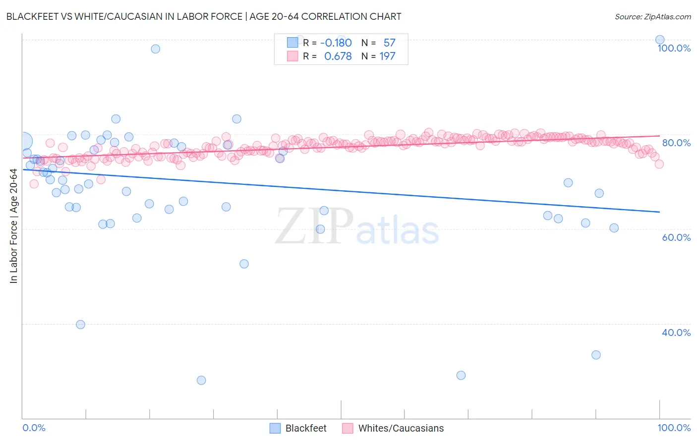 Blackfeet vs White/Caucasian In Labor Force | Age 20-64