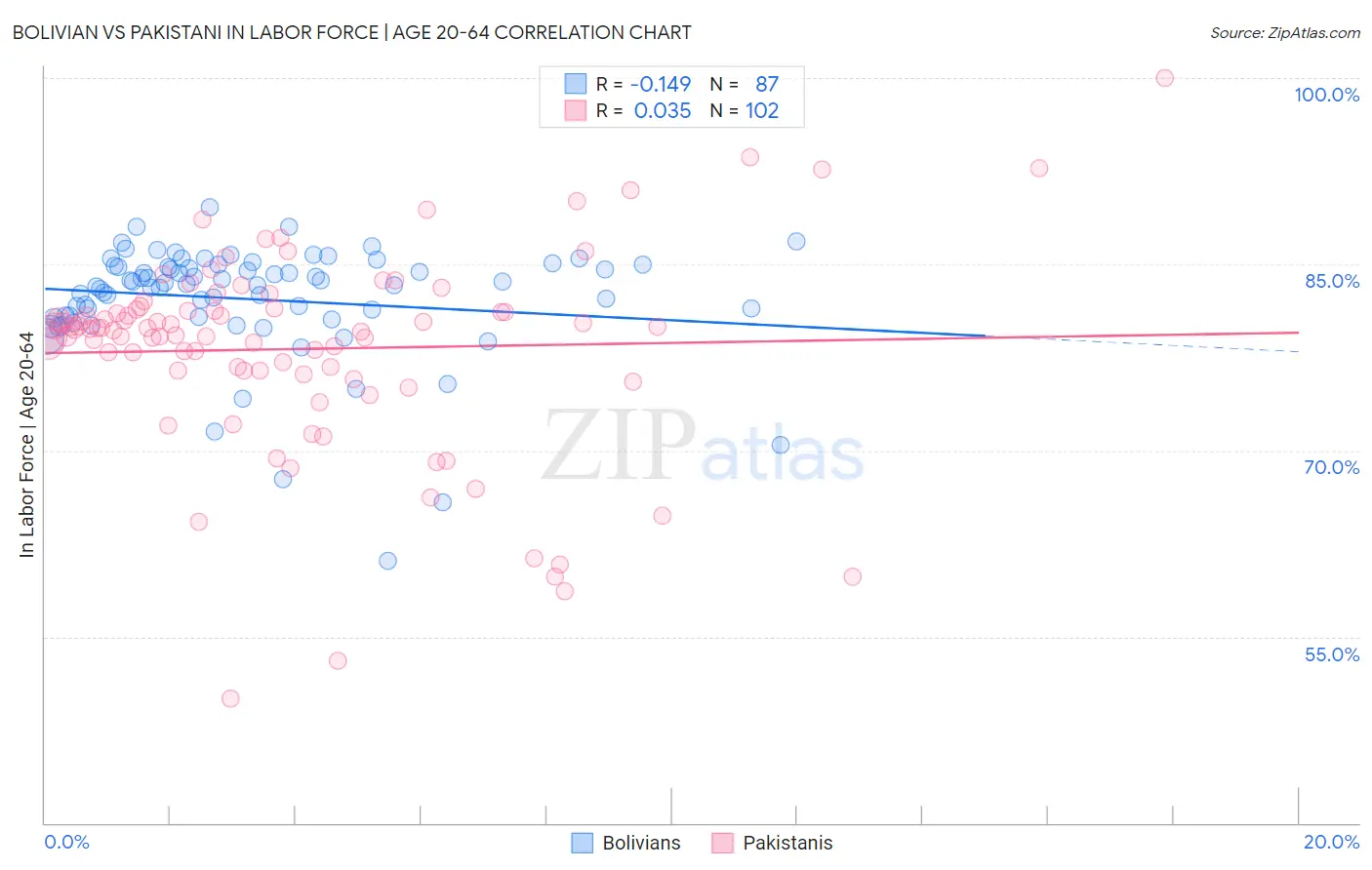 Bolivian vs Pakistani In Labor Force | Age 20-64