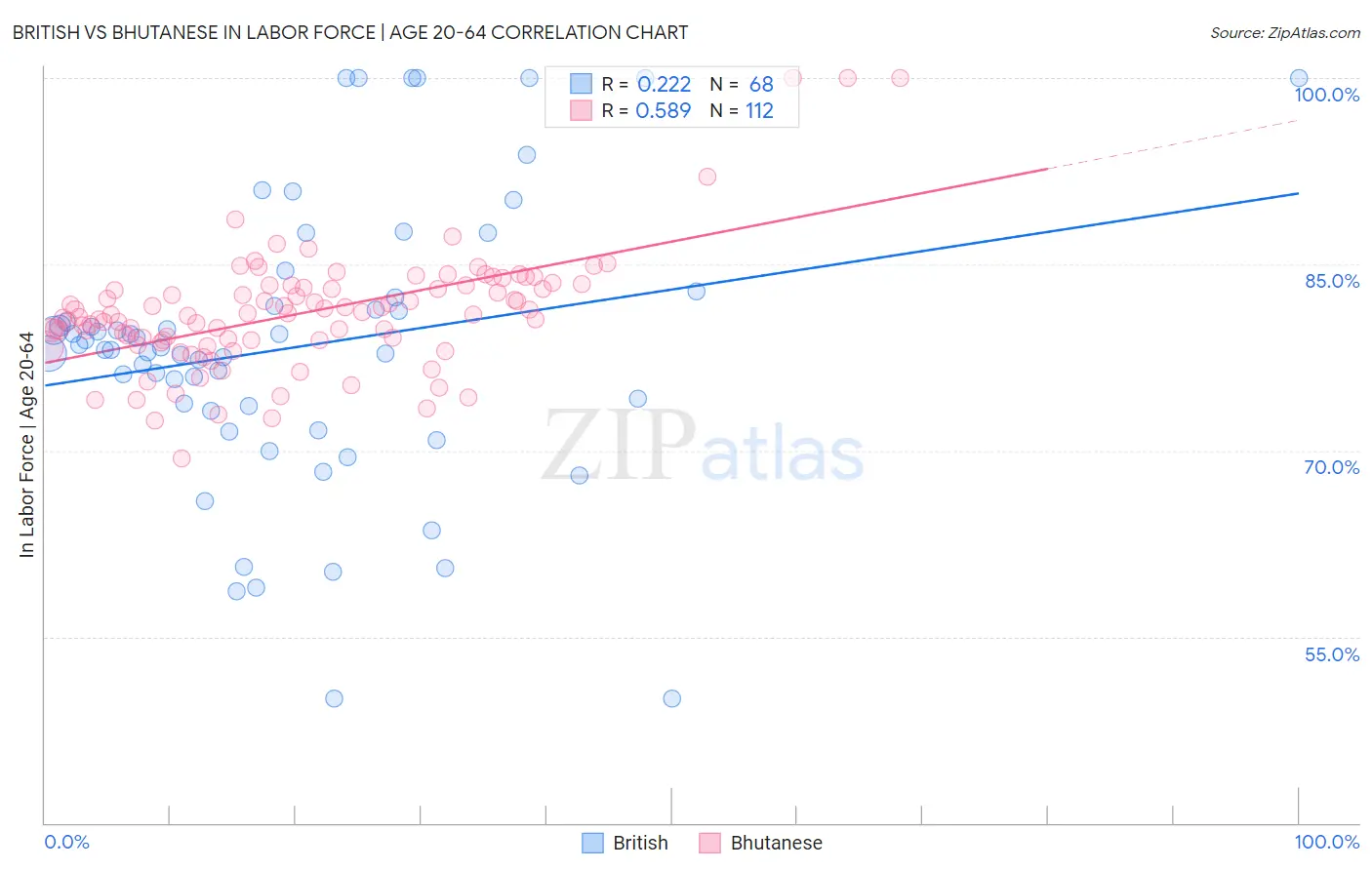 British vs Bhutanese In Labor Force | Age 20-64
