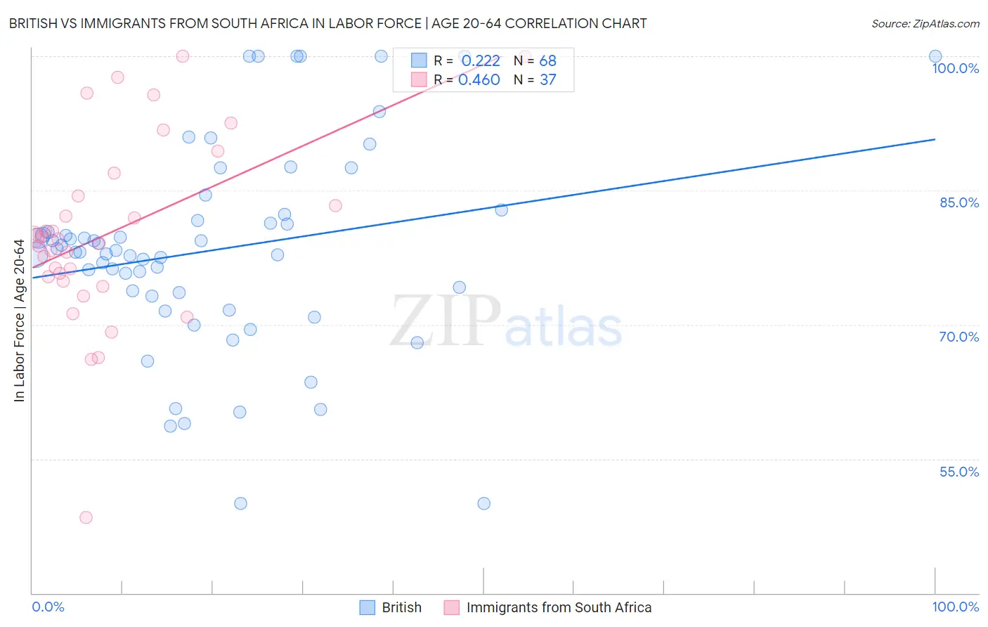 British vs Immigrants from South Africa In Labor Force | Age 20-64