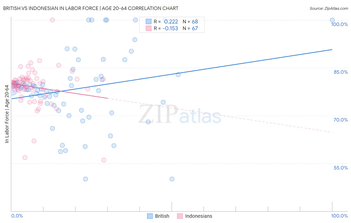 British vs Indonesian In Labor Force | Age 20-64
