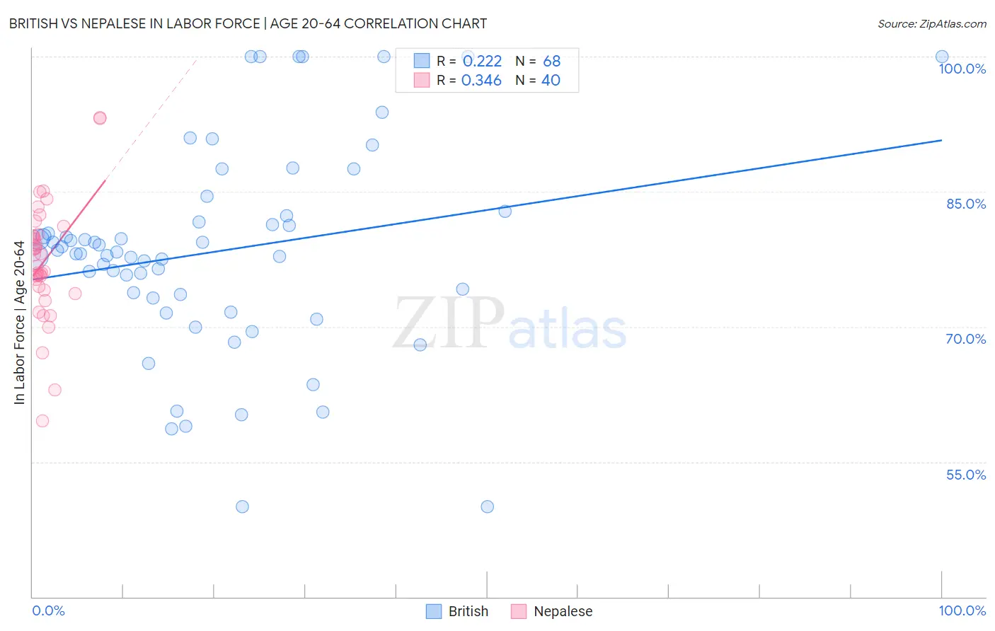 British vs Nepalese In Labor Force | Age 20-64