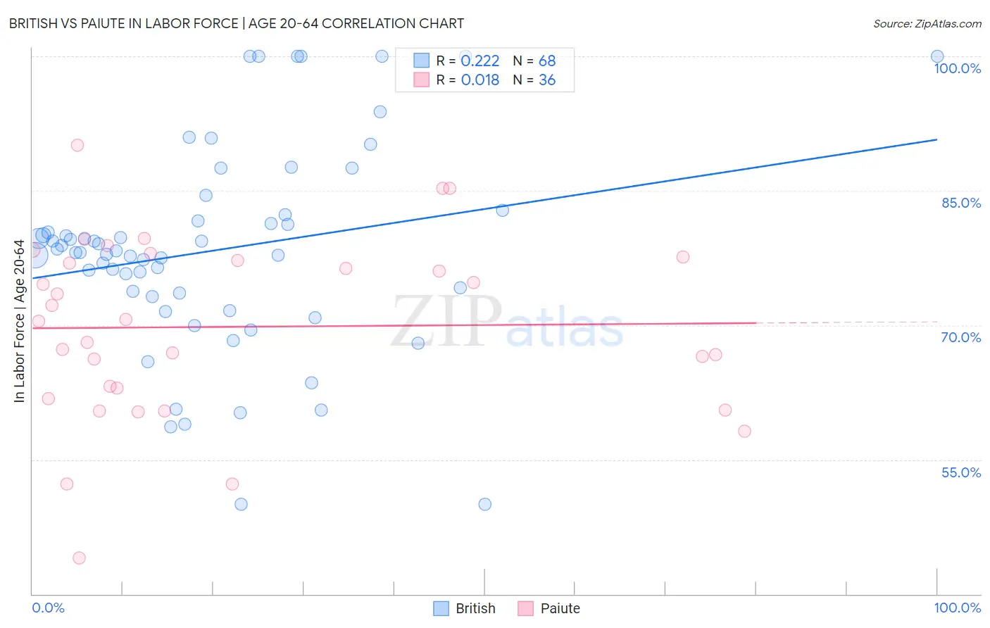 British vs Paiute In Labor Force | Age 20-64