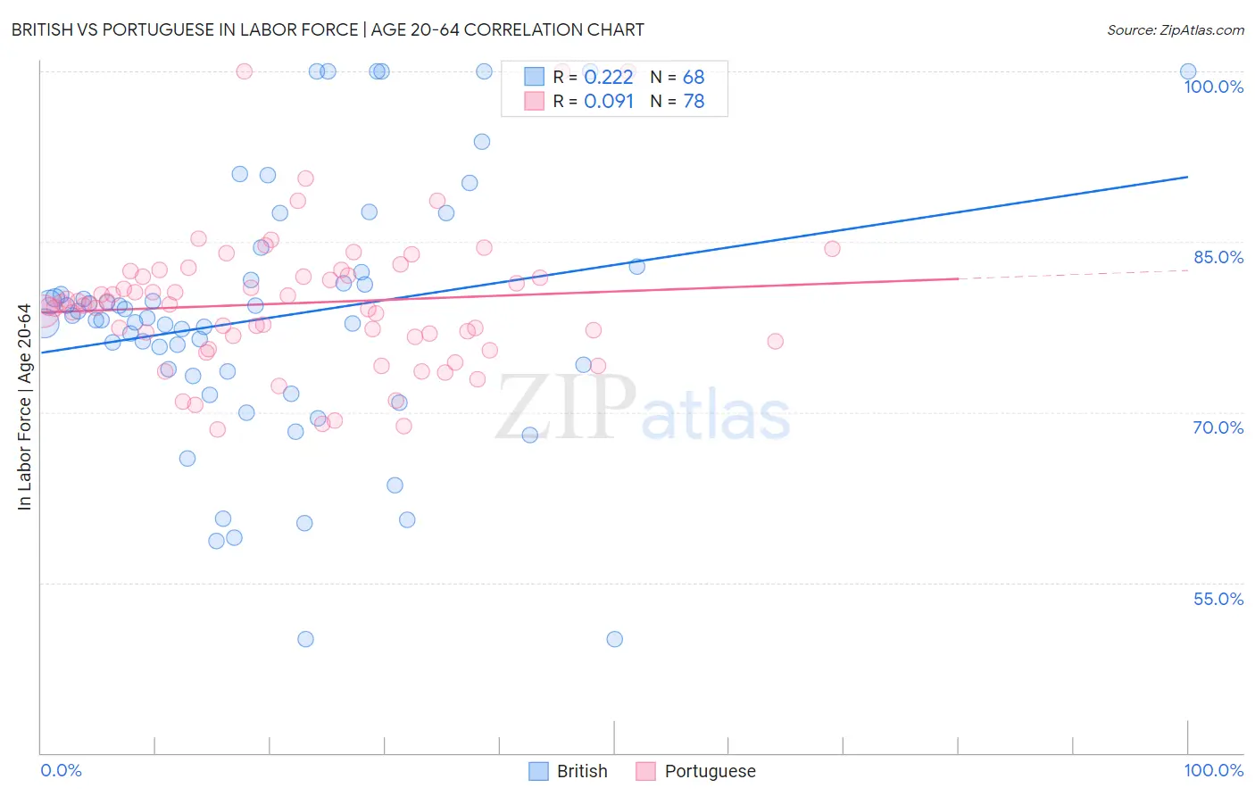 British vs Portuguese In Labor Force | Age 20-64
