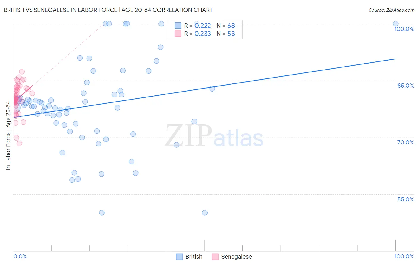British vs Senegalese In Labor Force | Age 20-64