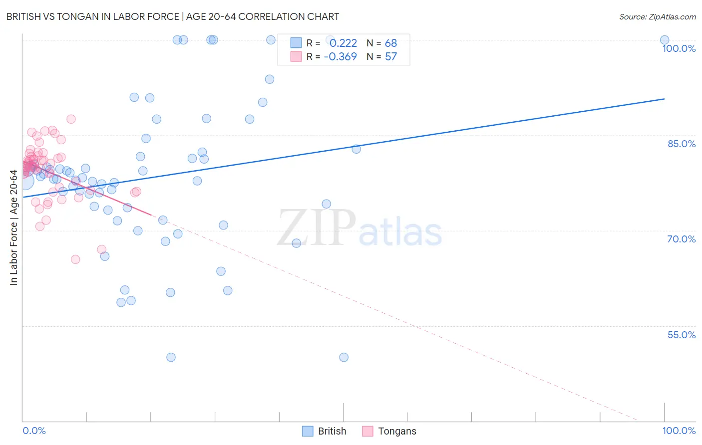 British vs Tongan In Labor Force | Age 20-64