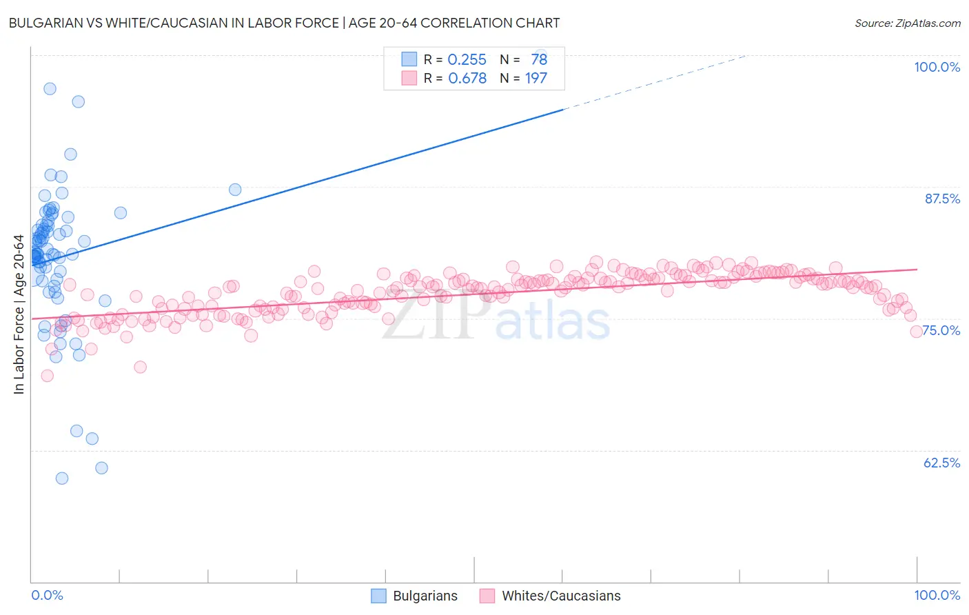 Bulgarian vs White/Caucasian In Labor Force | Age 20-64