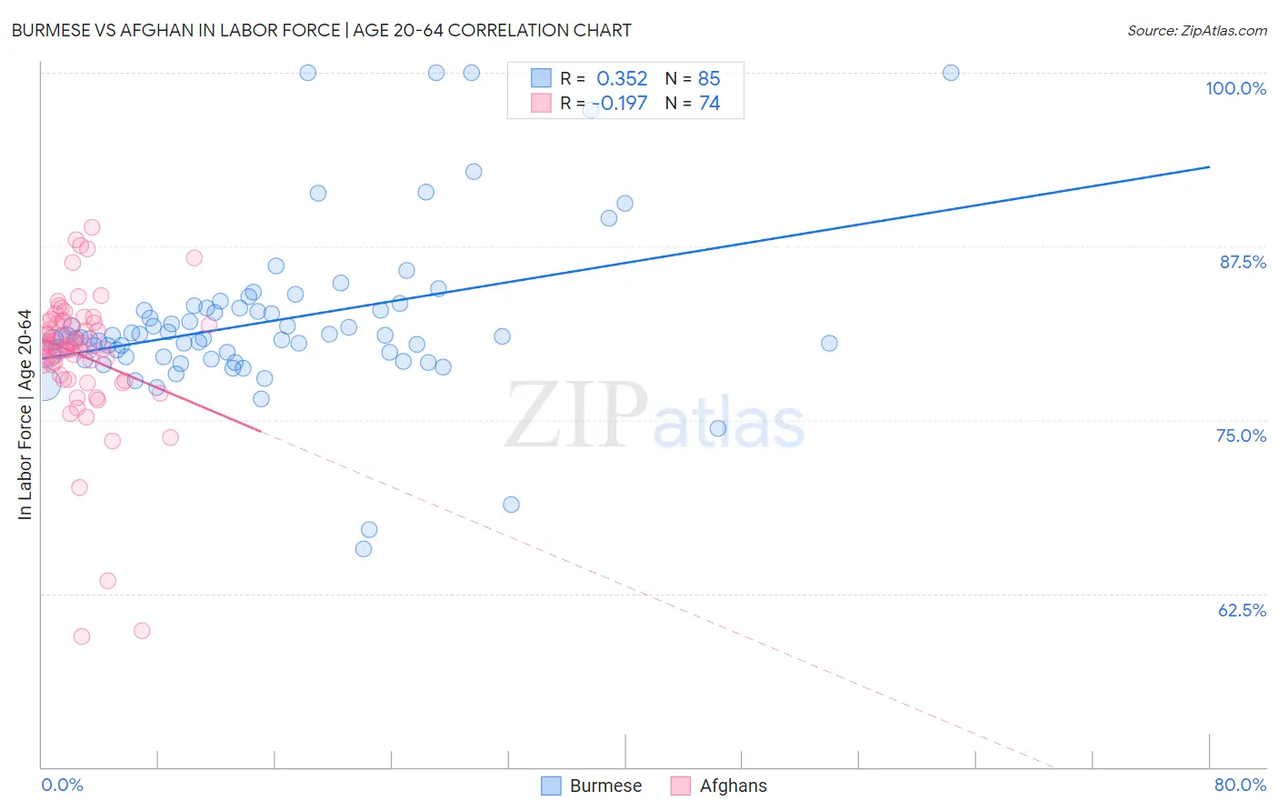 Burmese vs Afghan In Labor Force | Age 20-64