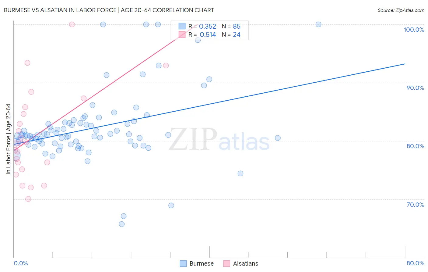 Burmese vs Alsatian In Labor Force | Age 20-64