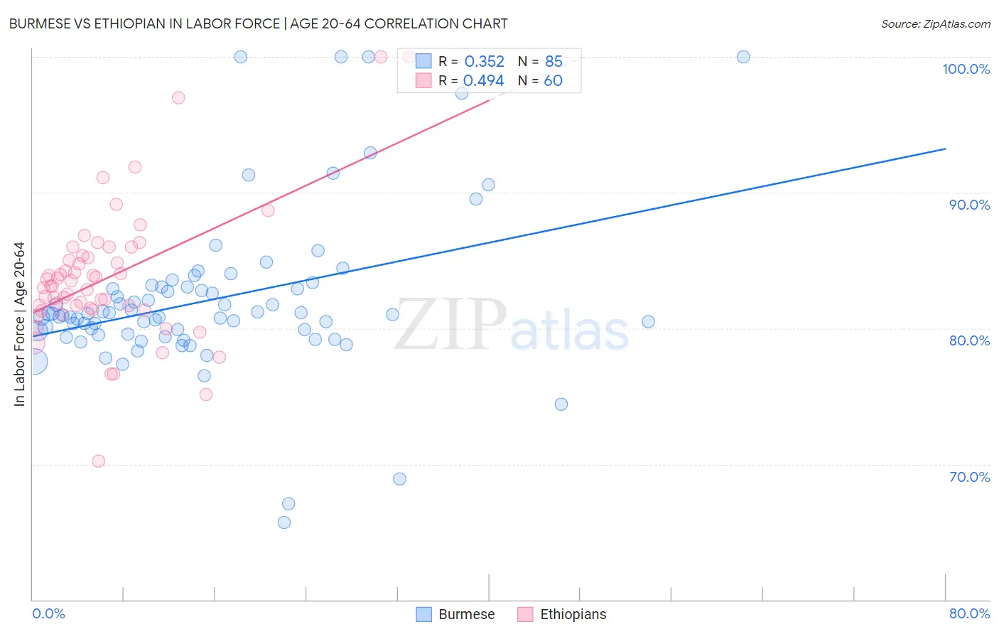 Burmese vs Ethiopian In Labor Force | Age 20-64
