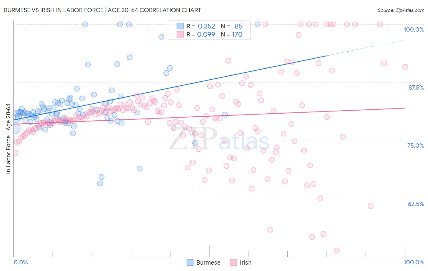 Burmese vs Irish In Labor Force | Age 20-64