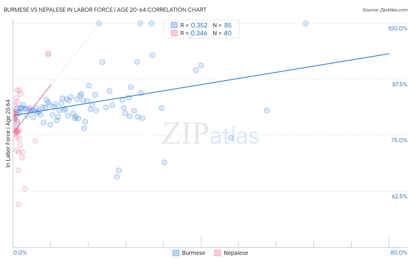 Burmese vs Nepalese In Labor Force | Age 20-64