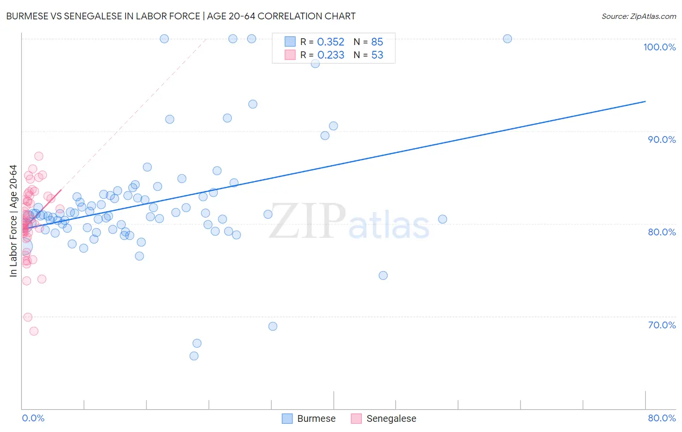 Burmese vs Senegalese In Labor Force | Age 20-64