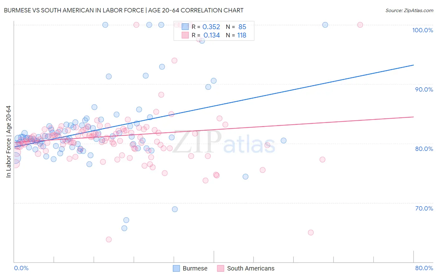 Burmese vs South American In Labor Force | Age 20-64