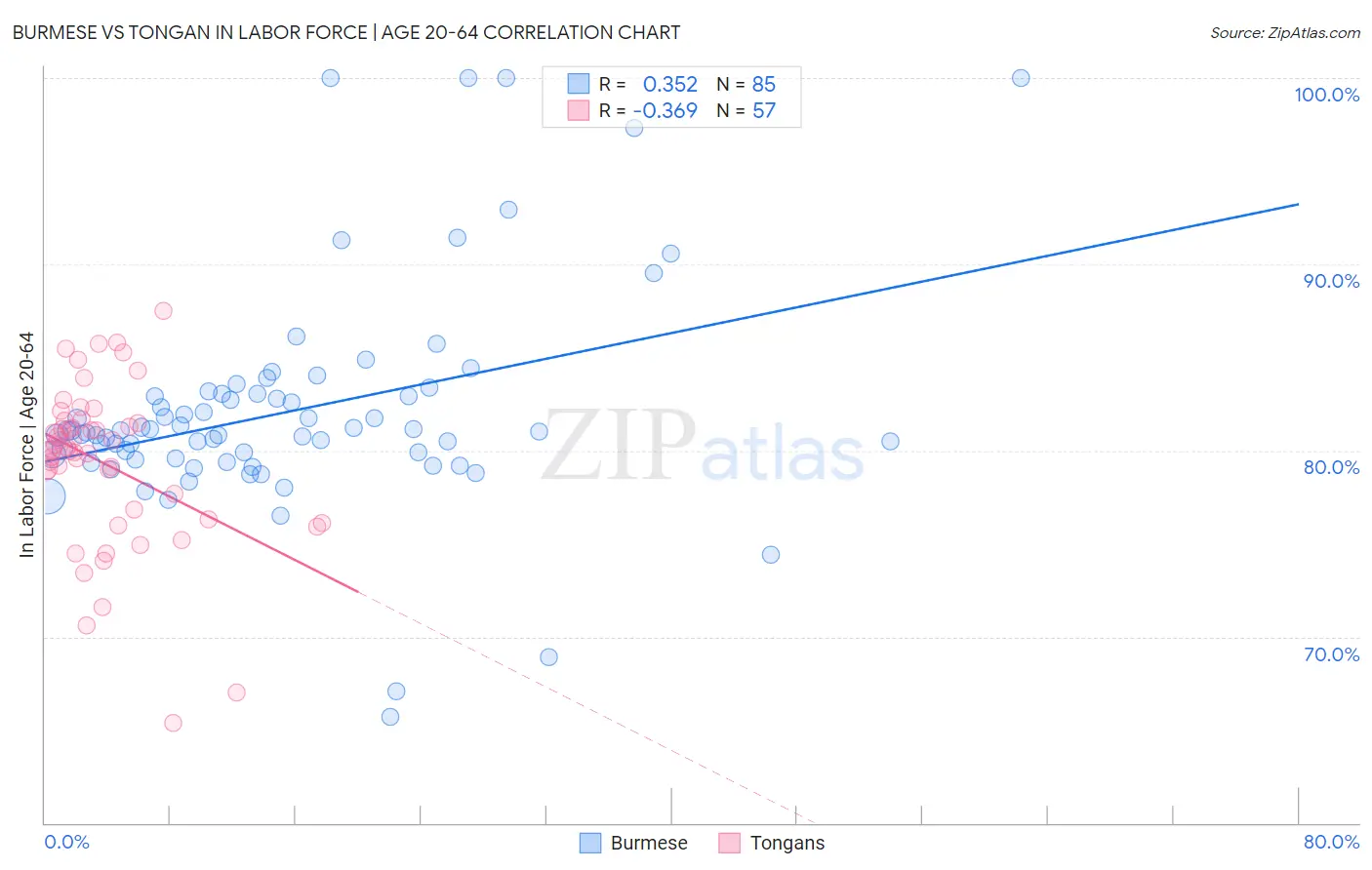 Burmese vs Tongan In Labor Force | Age 20-64
