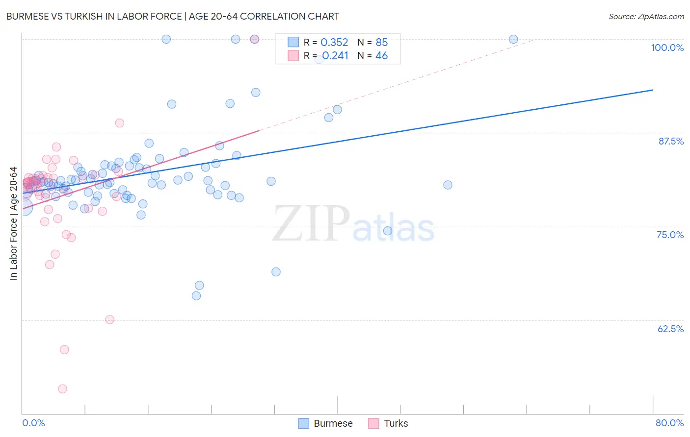 Burmese vs Turkish In Labor Force | Age 20-64