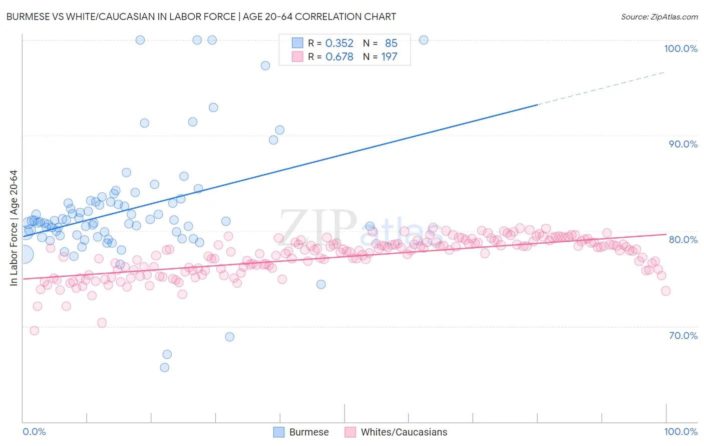 Burmese vs White/Caucasian In Labor Force | Age 20-64