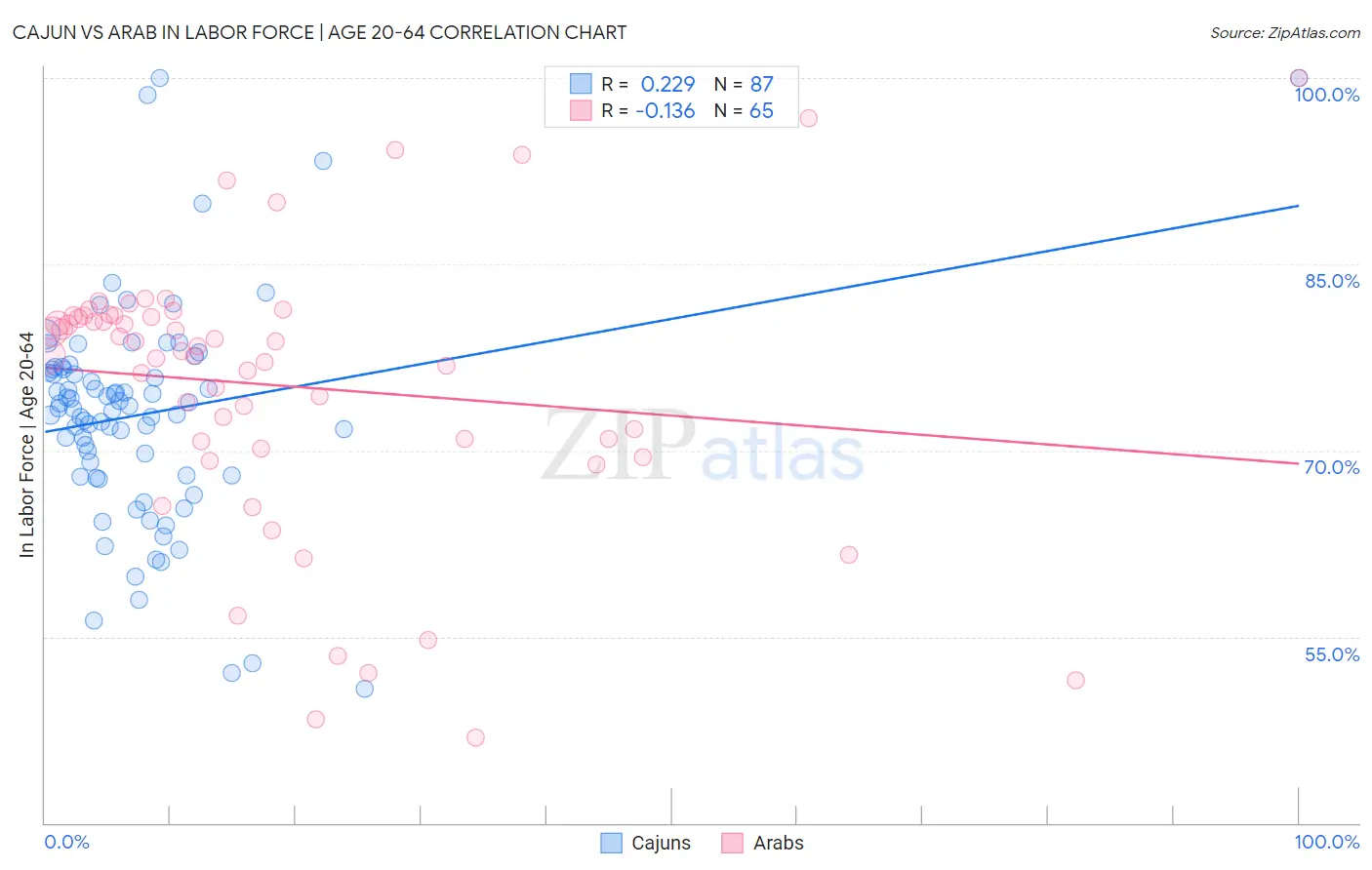Cajun vs Arab In Labor Force | Age 20-64