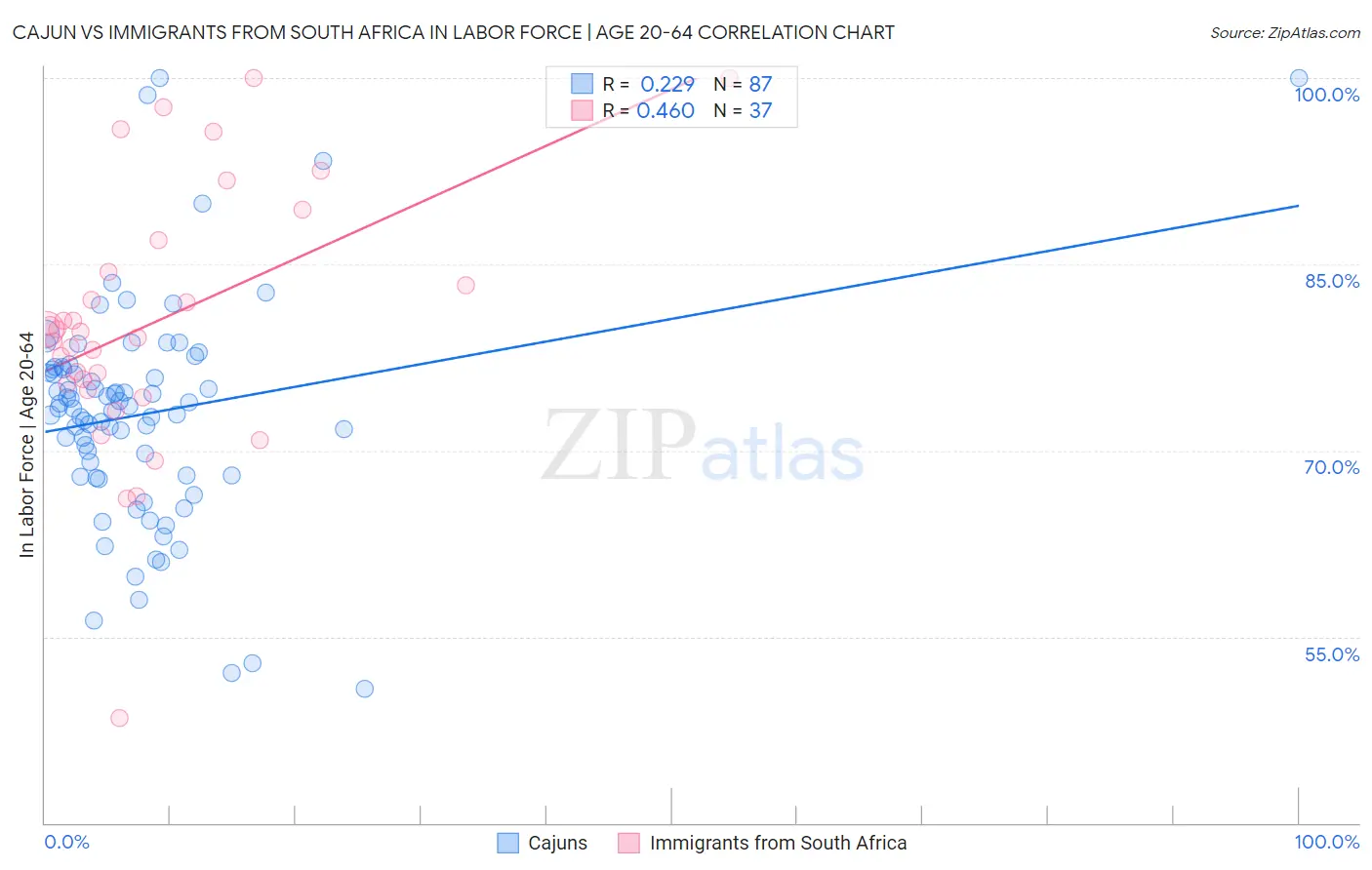 Cajun vs Immigrants from South Africa In Labor Force | Age 20-64