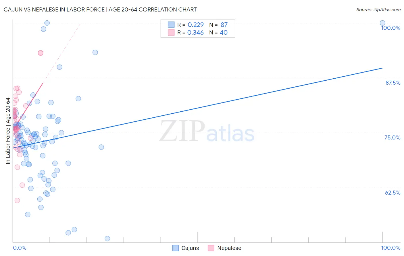 Cajun vs Nepalese In Labor Force | Age 20-64