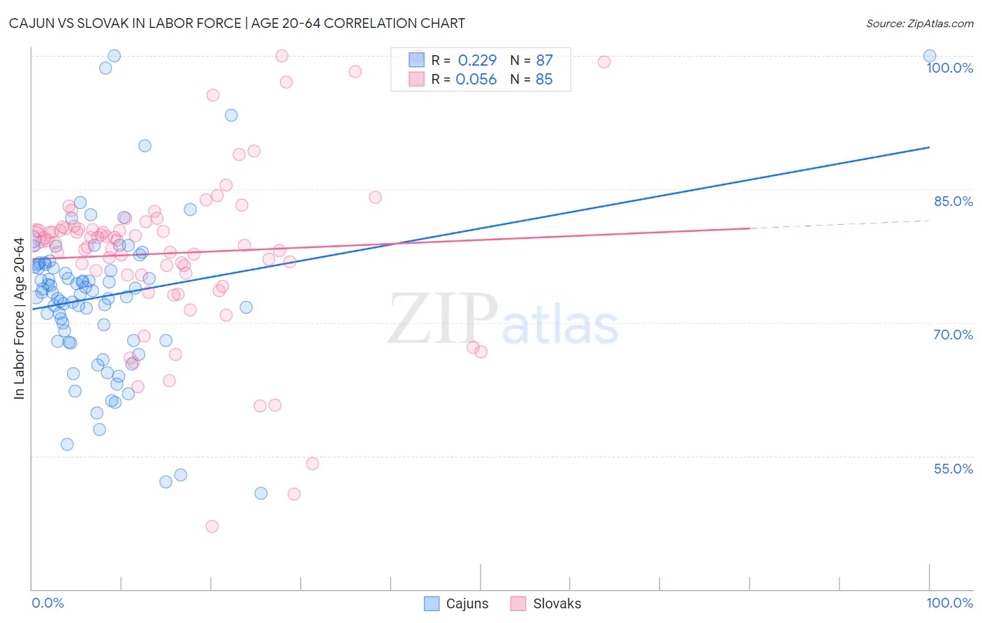 Cajun vs Slovak In Labor Force | Age 20-64