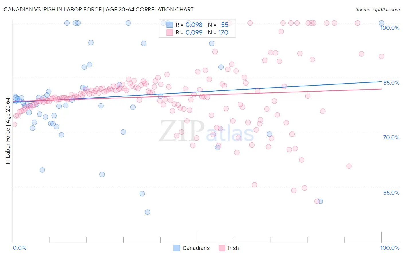 Canadian vs Irish In Labor Force | Age 20-64