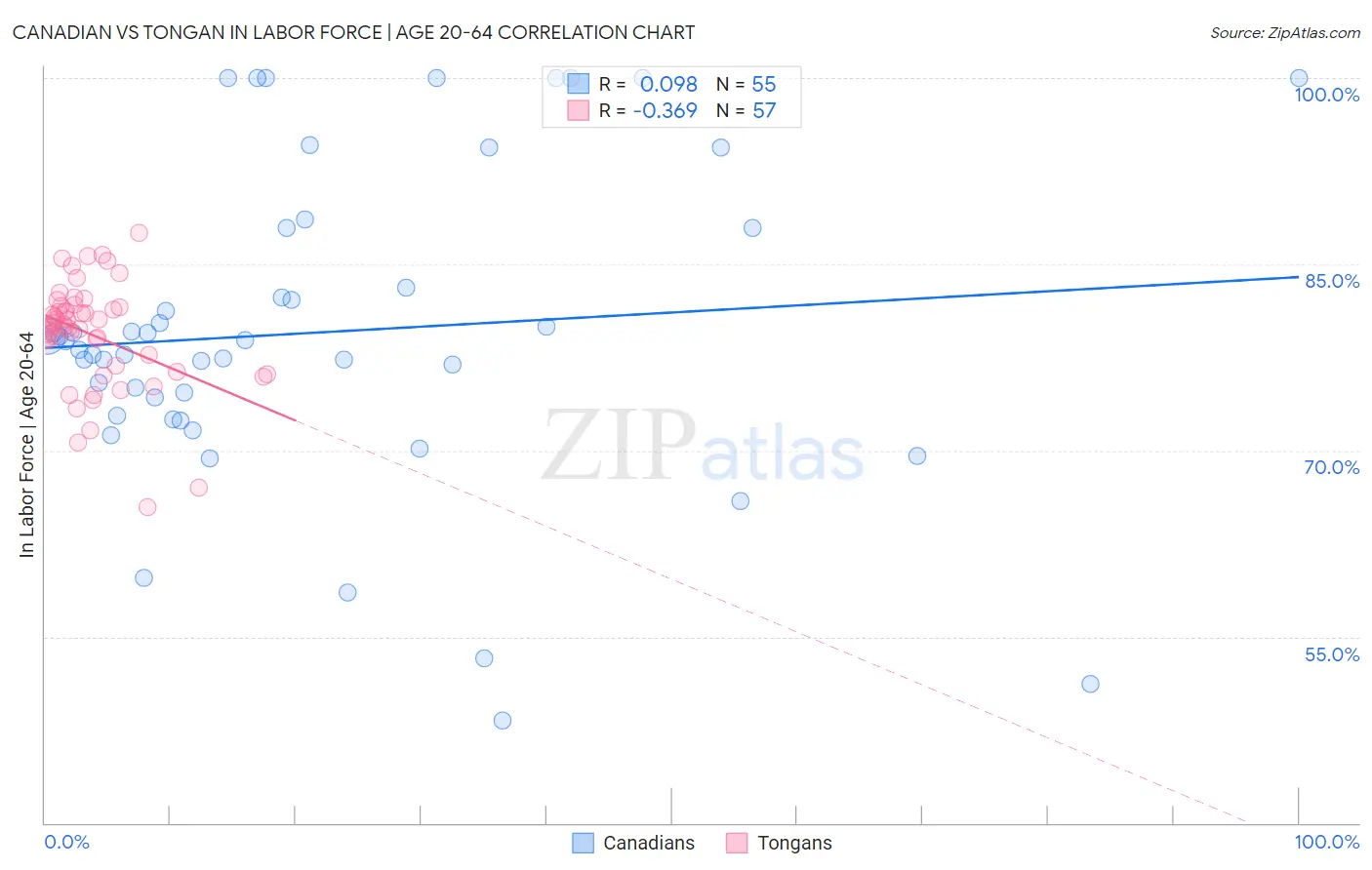 Canadian vs Tongan In Labor Force | Age 20-64