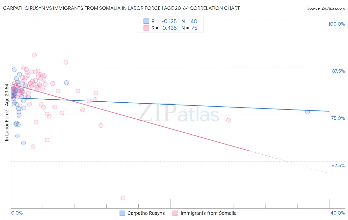 Carpatho Rusyn vs Immigrants from Somalia In Labor Force | Age 20-64