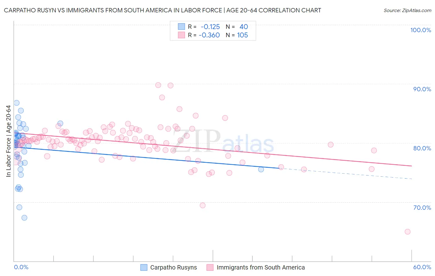 Carpatho Rusyn vs Immigrants from South America In Labor Force | Age 20-64